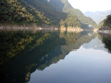 长阳土家族自治县花店,长阳土家族自治县杀人案