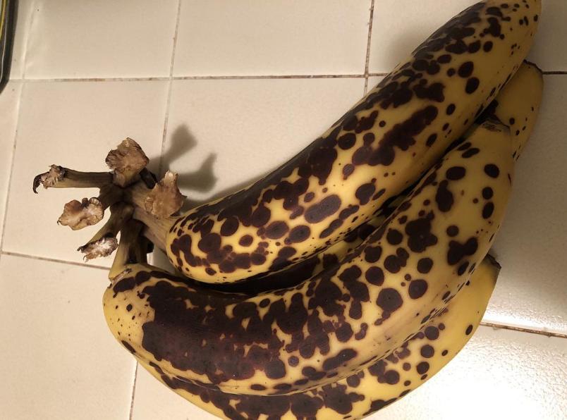 食物发霉削掉还可以再吃吗,食物发霉后切到发霉地方能吃吗