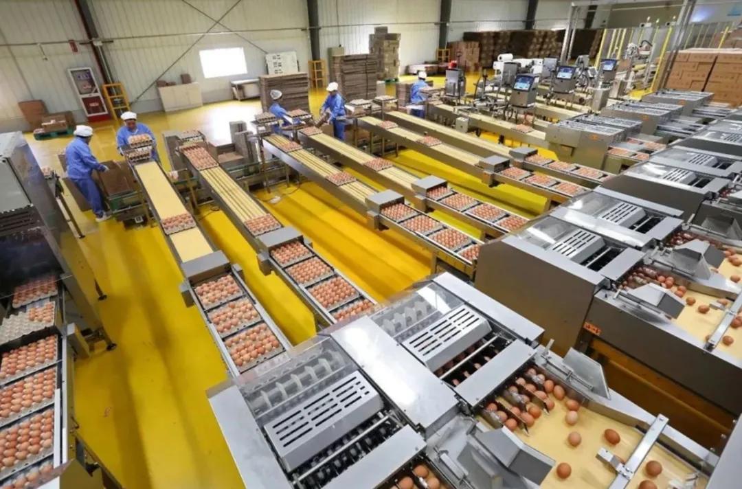 宋卫平杭州别墅,宋卫平杭州湾图片