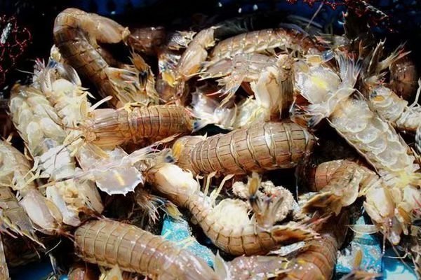 领略海口美丽风光，尝尽海口的各种美食