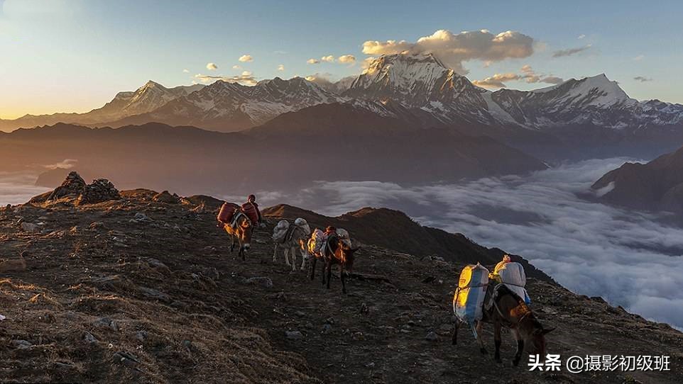 100个摄影小妙招大全,12个摄影小技巧视频教学