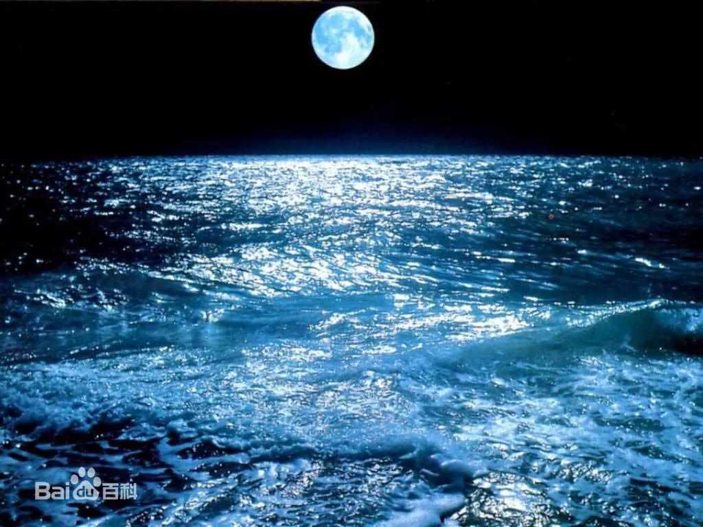 童趣赶海游戏,童趣大冒险赶海