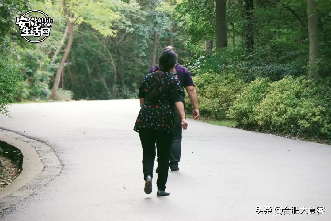 合肥大蜀山的秘密,合肥大蜀山的由来