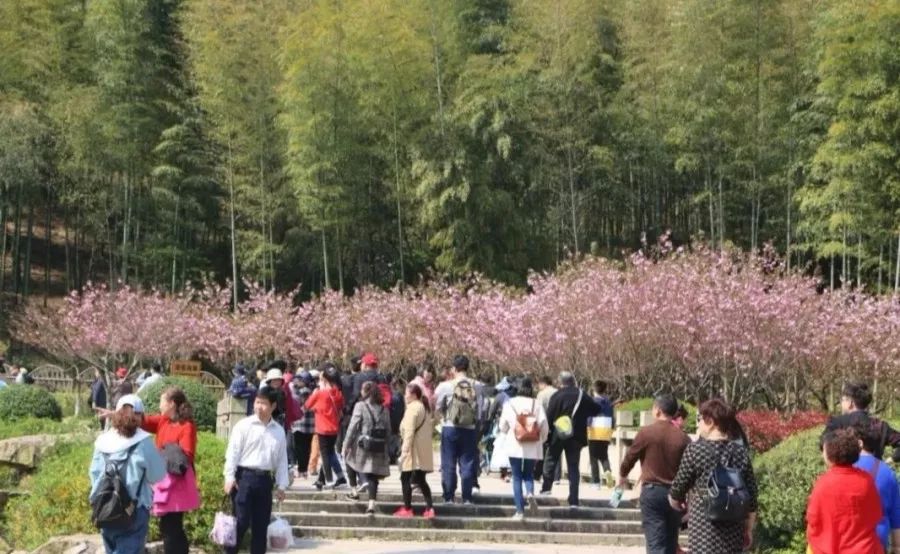 不负假期不负青春,不负韶光享受春日