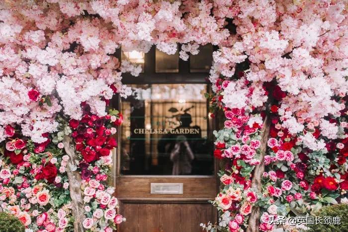 520/521：五月阳光下，伦敦依然盛放。记得常回来看看