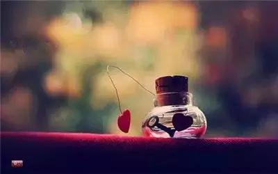 何为信任感,何为信任作文