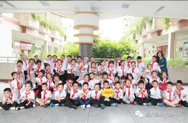 重庆5朵金花小学名字及地址,重庆公认最好的五个小学