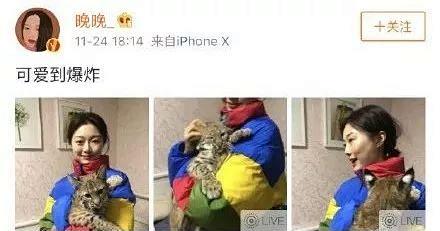 邓文迪晚晚到底是谁,网红界邓文迪