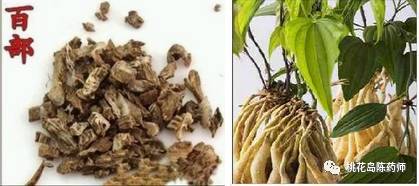 食茱萸中药饮片别名,中药饮片独角牛别名