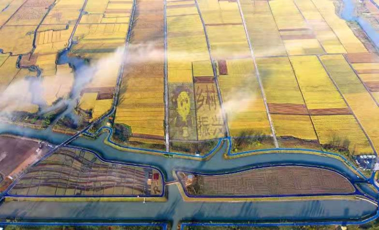 抓住假期的尾巴带上娃来一场露营,假期小尾巴带孩子去哪里玩