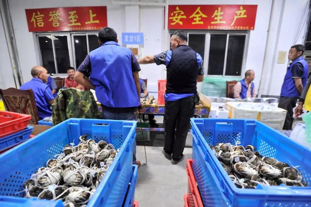 苏宁易购官网阳澄湖大闸蟹,苏宁签约阳澄湖大闸蟹