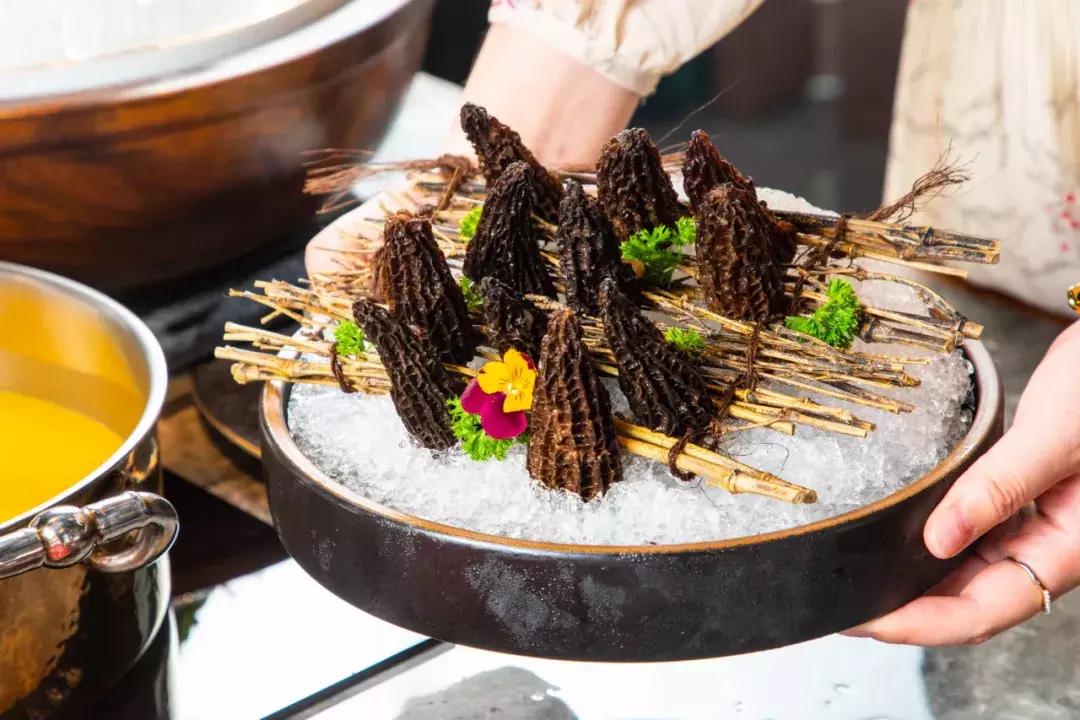 就是这么狂原版视频,天津火锅排行榜前十名一人一锅