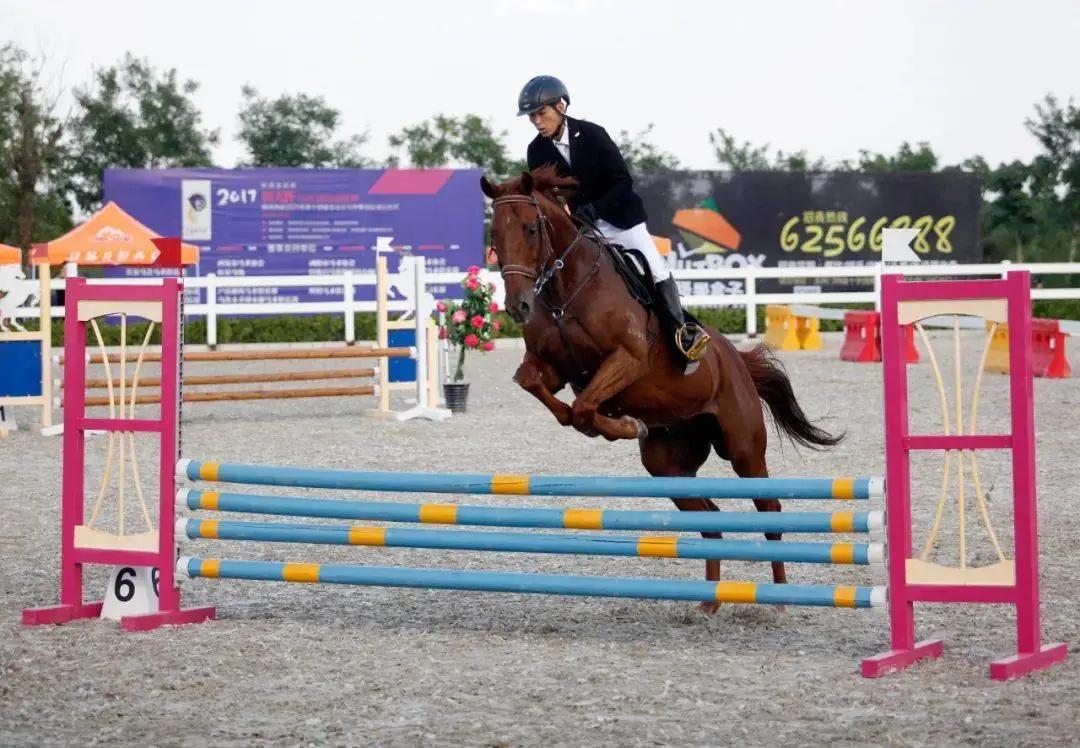 香港富豪为什么爱养马,香港富人为什么这么多