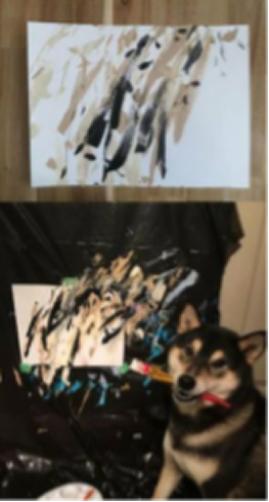 30000人民币！狗子赚口粮大招！铲屎官速进