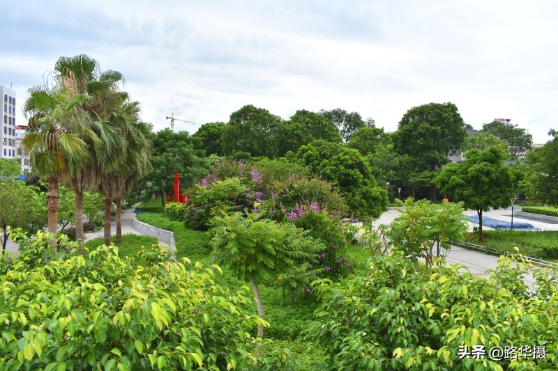 北部湾名城？多次被国家点名，想不到你是这样的“廉江”