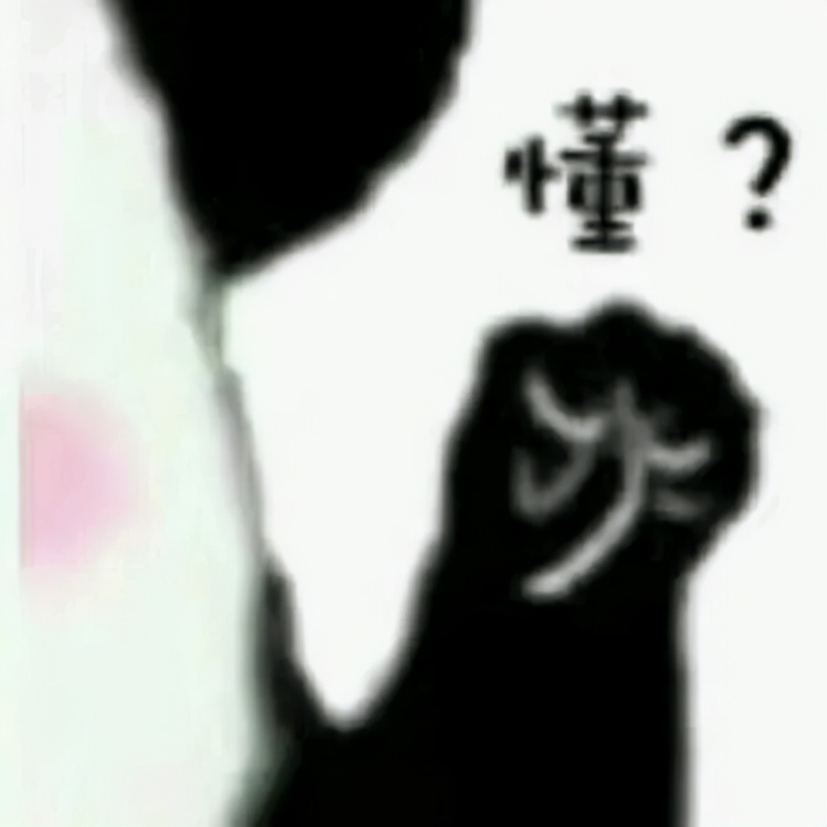 云鸟科技陷破产纠纷,云鸟科技有多厉害