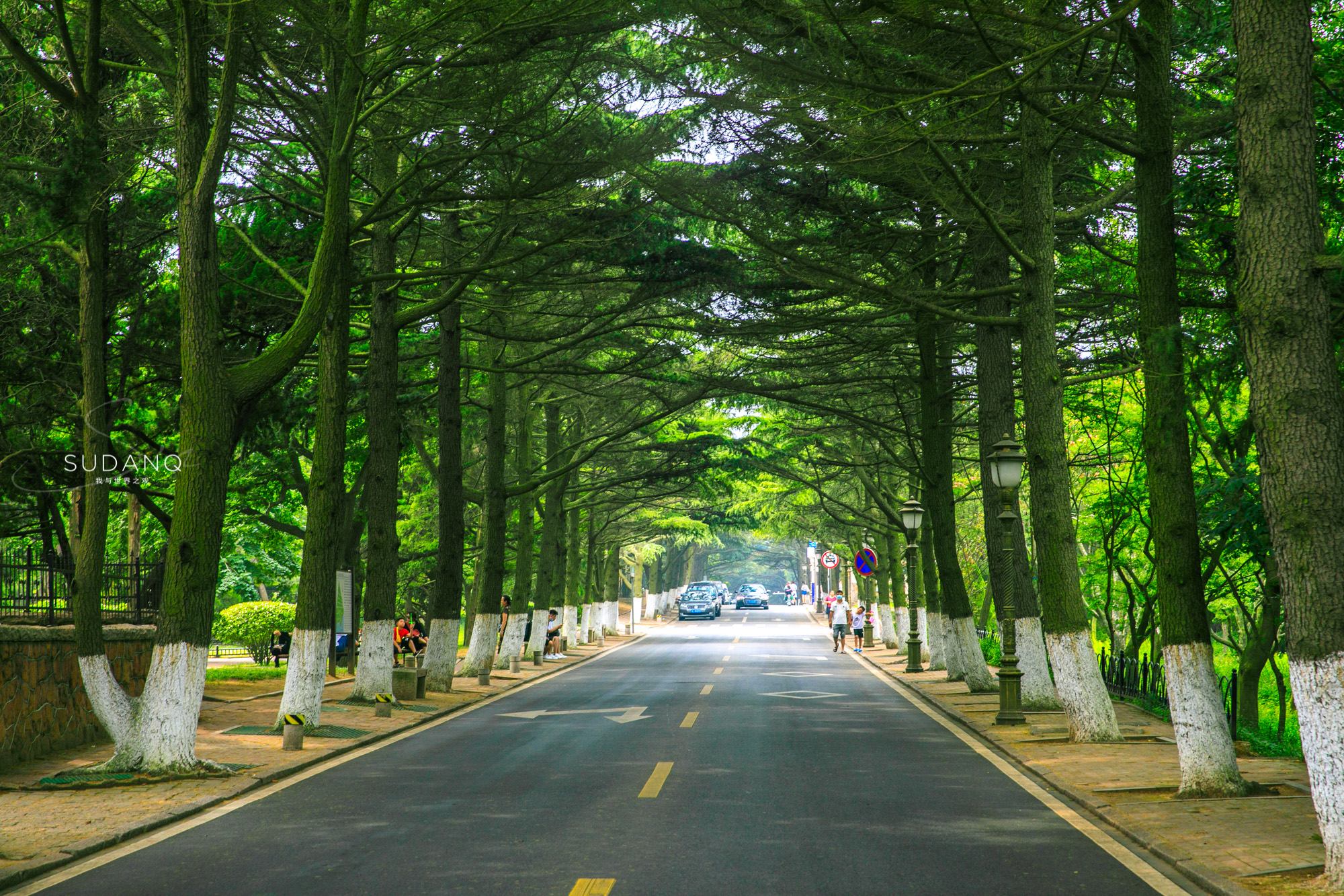 青岛是山东的省会,青岛经济超过山东的城市