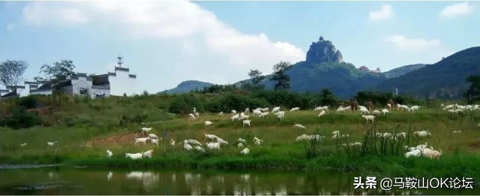 马鞍山为什么人少,马鞍山现象