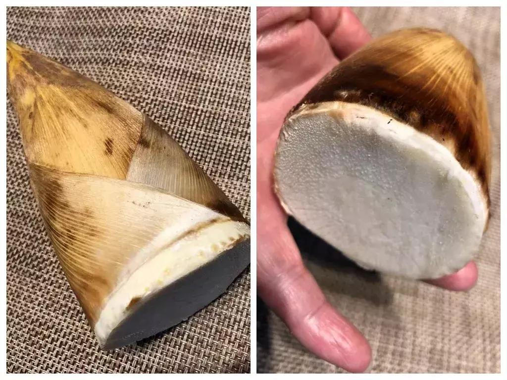 冬笋终于有了全新的吃法,冬笋怎么做好吃又简单的