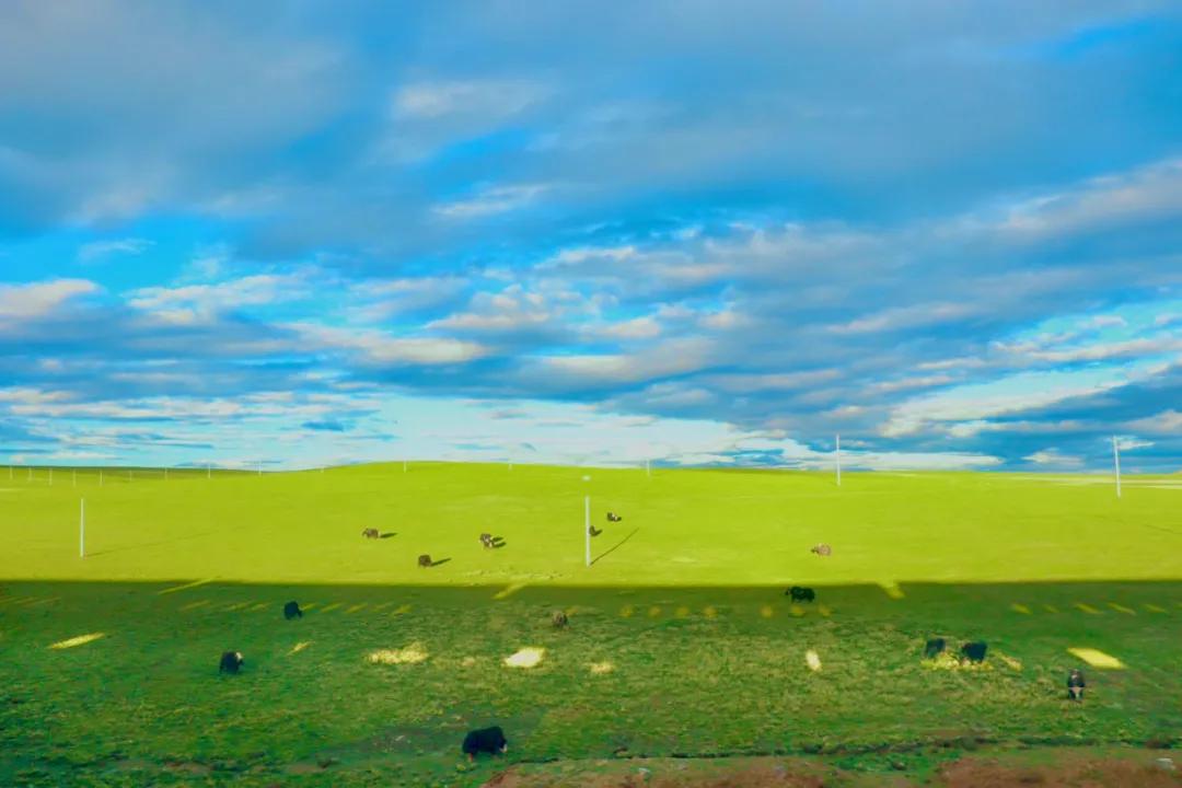 那曲锅庄舞,那曲鞋子店