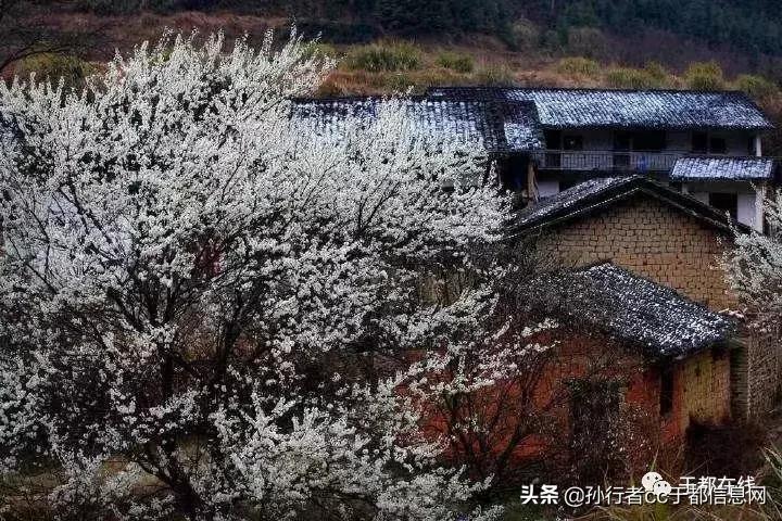 于都的故事传说,于都民间传说真实故事