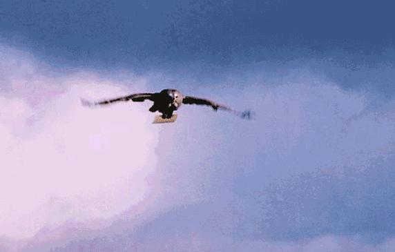 成年人玩具越野车,适合成年人玩的益智玩具