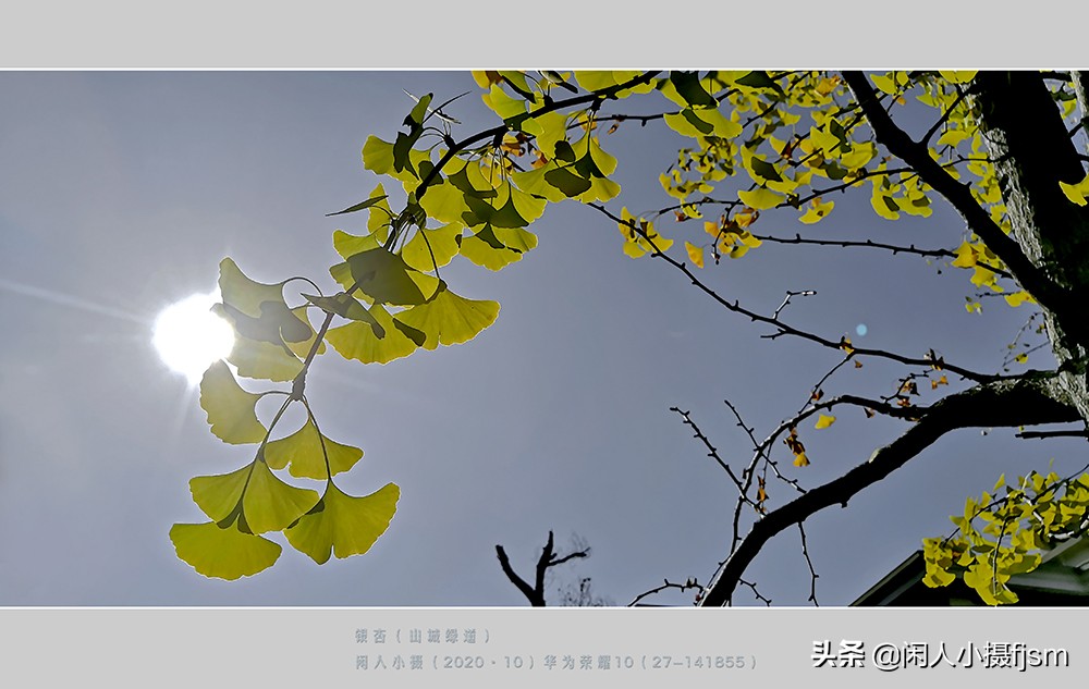 天空阴暗手机拍摄怎么办,天气太亮看不清手机怎么拍照