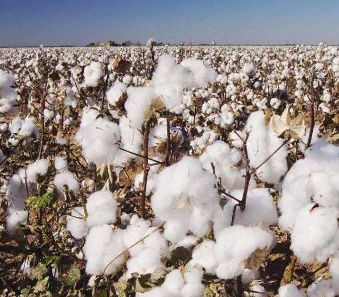 床上四件套怎么选择合适,床上四件套怎么选好用又省钱