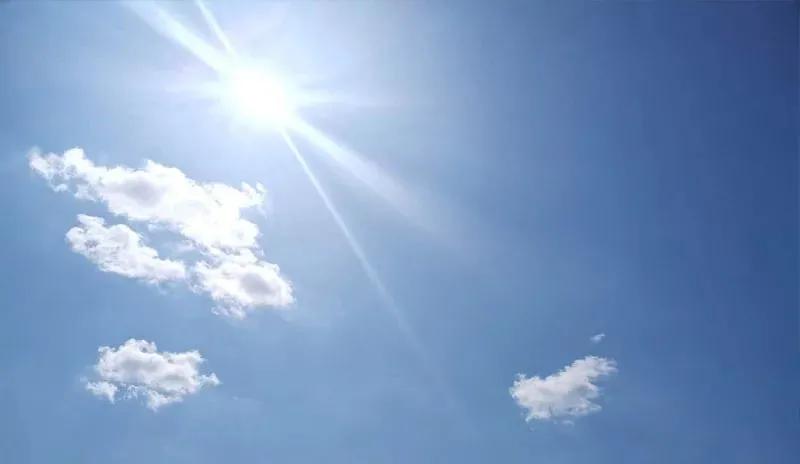 甲友心声——与甲癌的七年共生