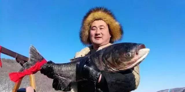 东北2019新“鱼王”喜现七台河