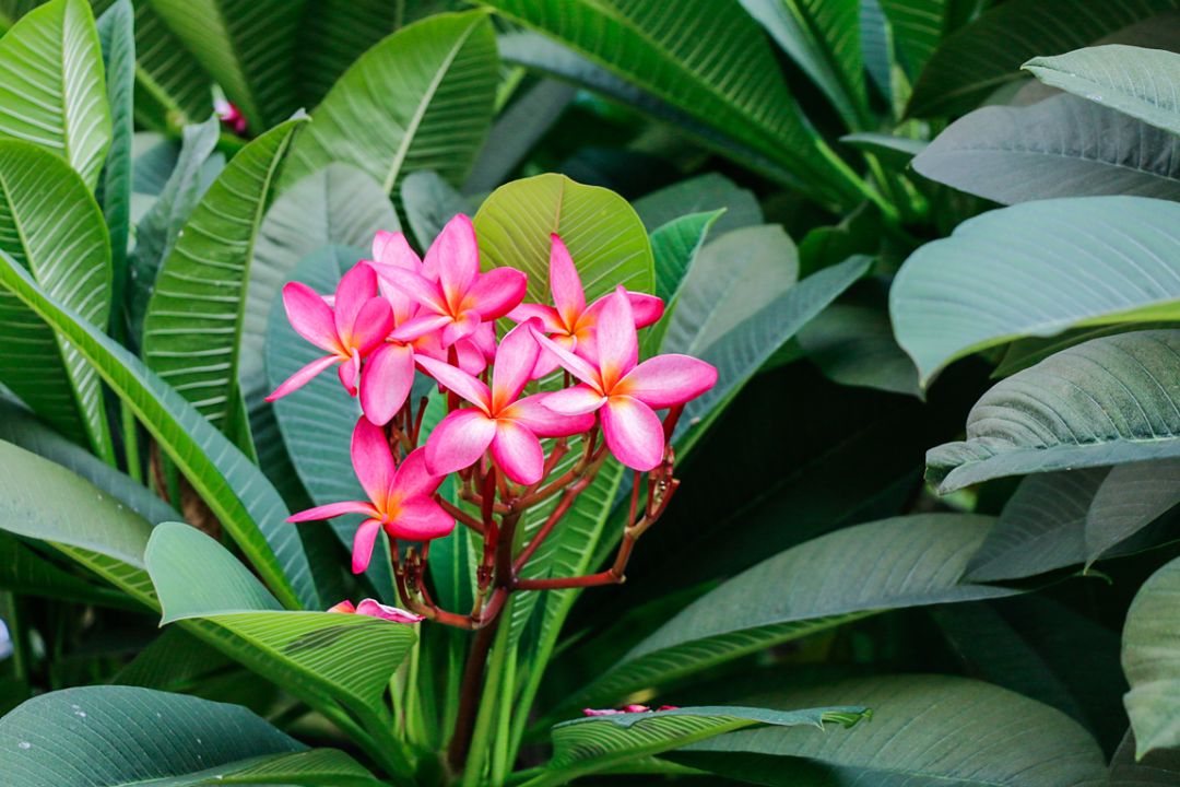 任尔东西南北风配图,任尔东西南北风我亦巍然不动