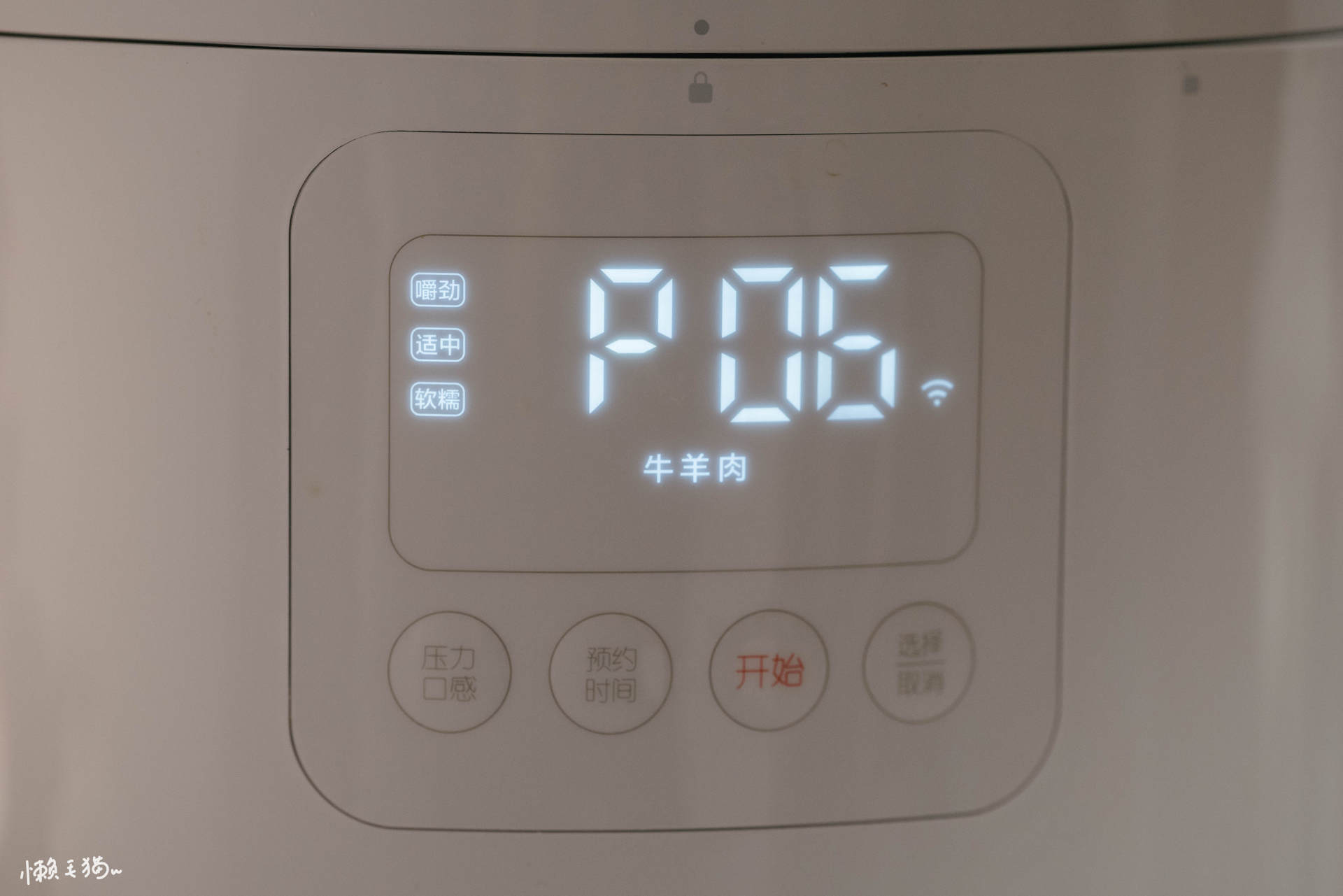 智能电压力锅家用双胆,双胆智能一体电压力锅哪家好