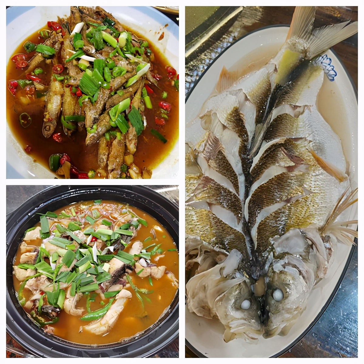 辛丑癸巳建德淳安记