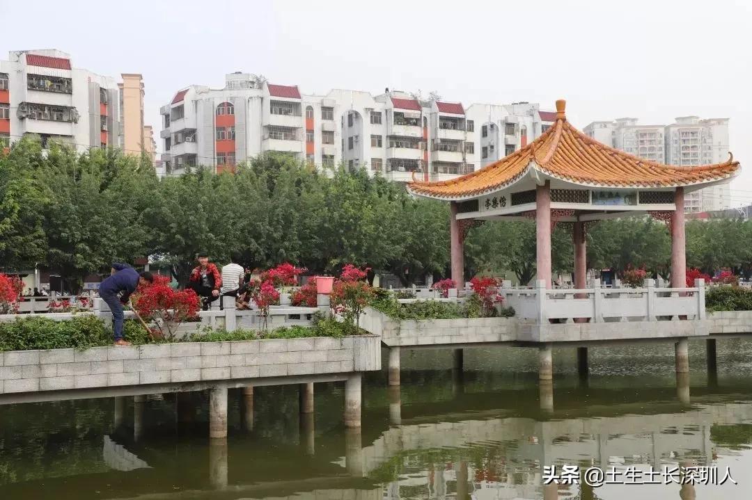 沙井是什么意思网络用语,沙井的含义是什么