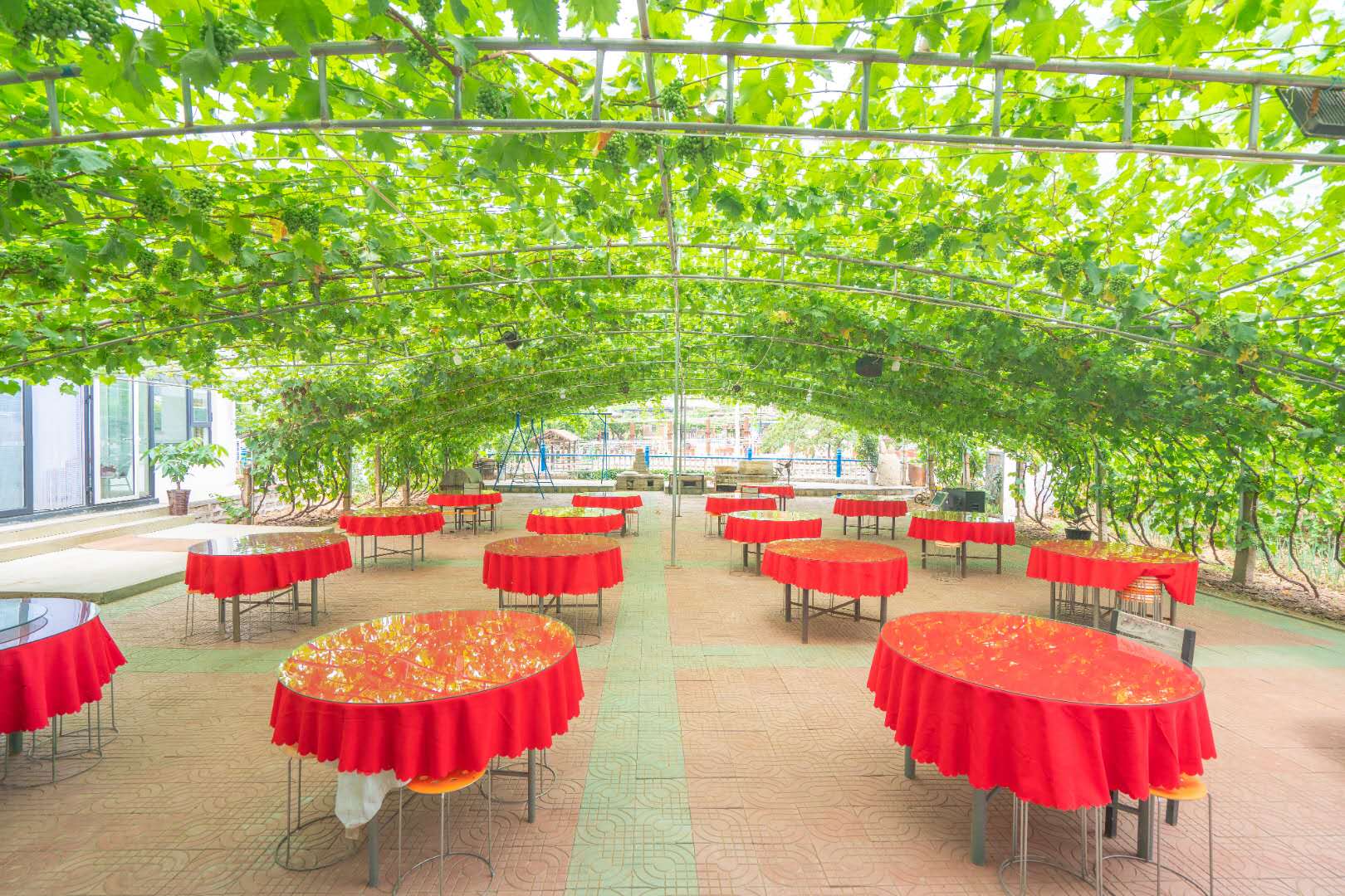 秦皇岛昌黎海边附近农家院,秦皇岛海边农家乐民宿