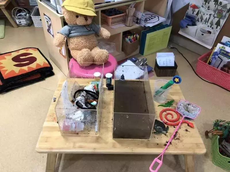 东莞有些什么特色幼儿园,东莞规模最大的幼儿园