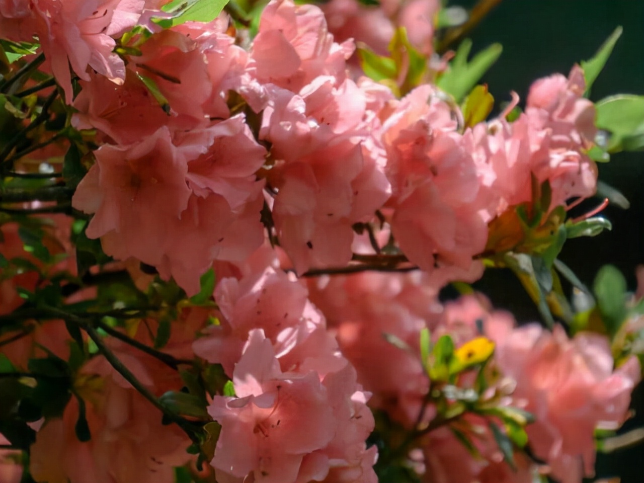 生气了摩羯座说心慌,生气后的摩羯怎么哄