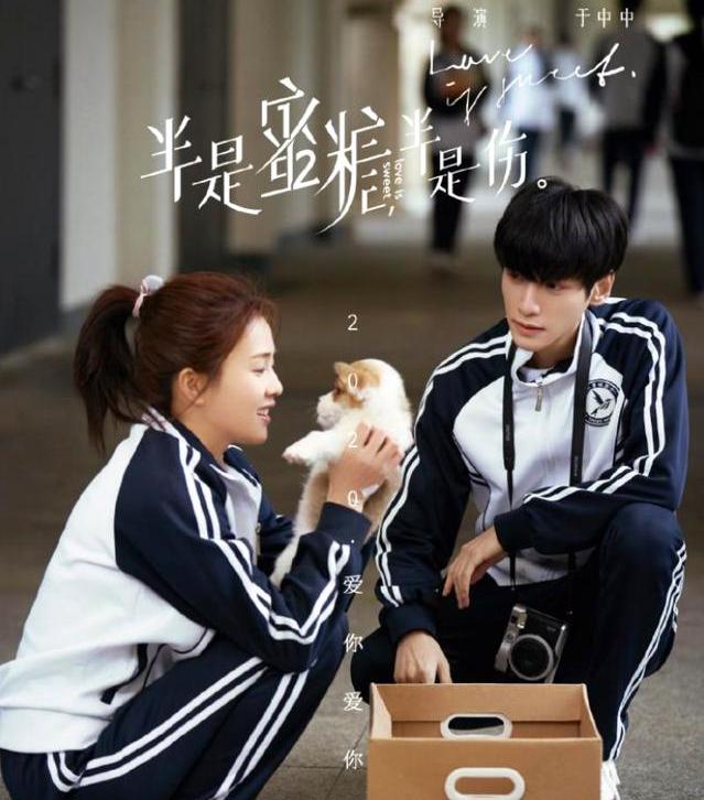 2019年最甜蜜的爱情剧,推荐8部甜掉牙的爱情剧