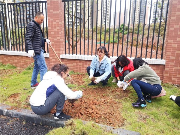 天府新区第六小学对应初中,天府新区第六小学在什么地方