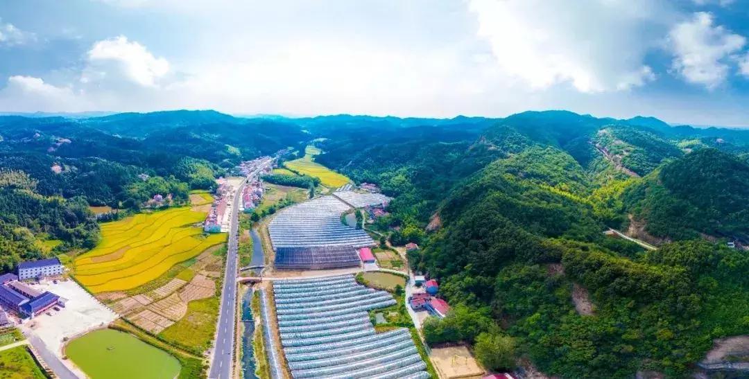 美翻了我的小乡村许昌,美翻了我们的经典镜头