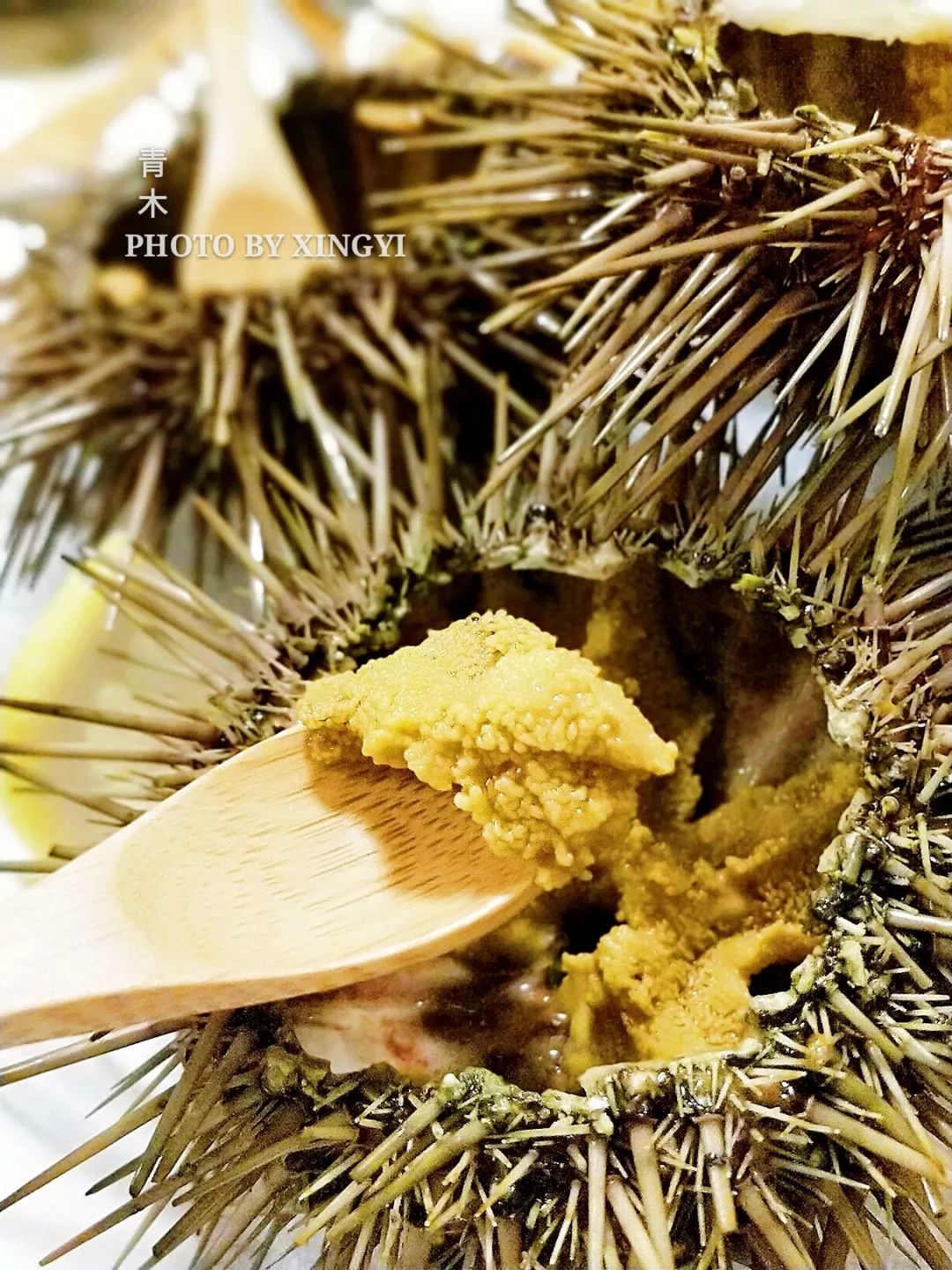 花间一壶酒足以慰风尘,花间一壶酒