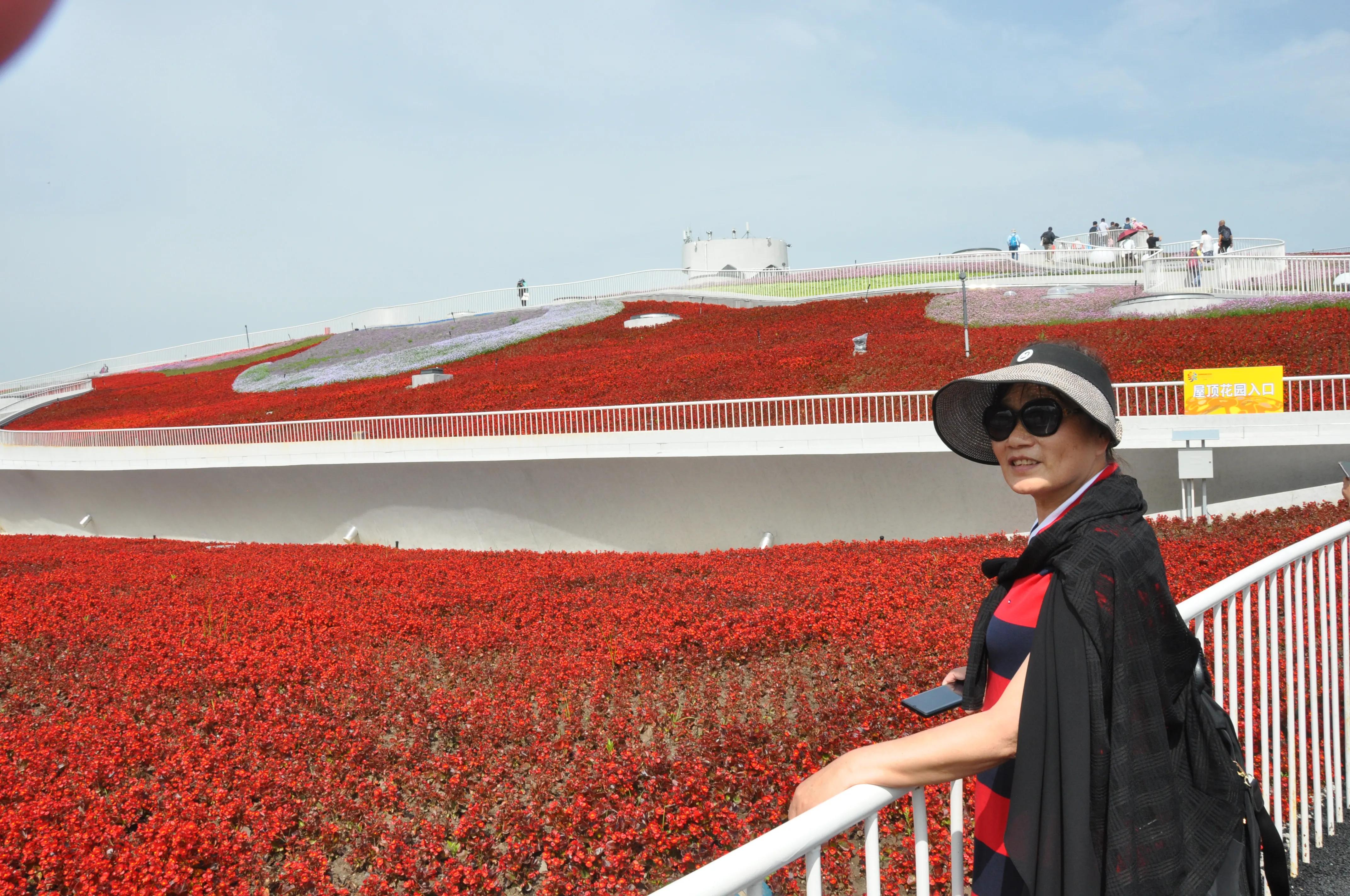 漳州东南花都花博会巡游,花博会花神巡游打卡