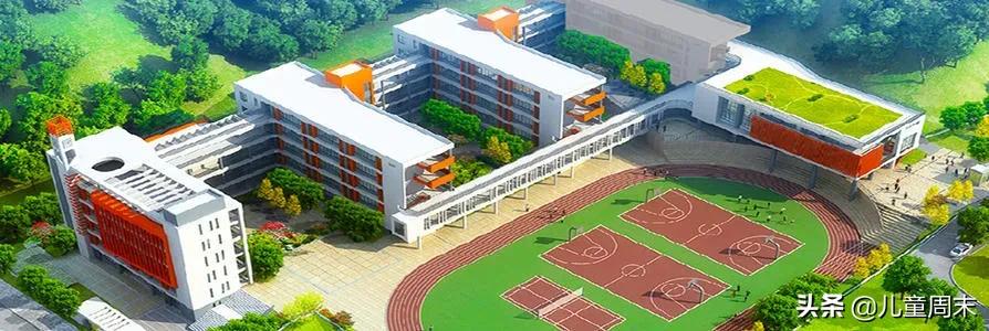 深圳龙岗布吉哪个小学比较好,深圳龙岗保安小学怎么样