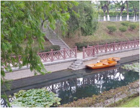 农村黑臭水体治理由哪个部门负责,农村黑臭水体遥感监测排查和整治