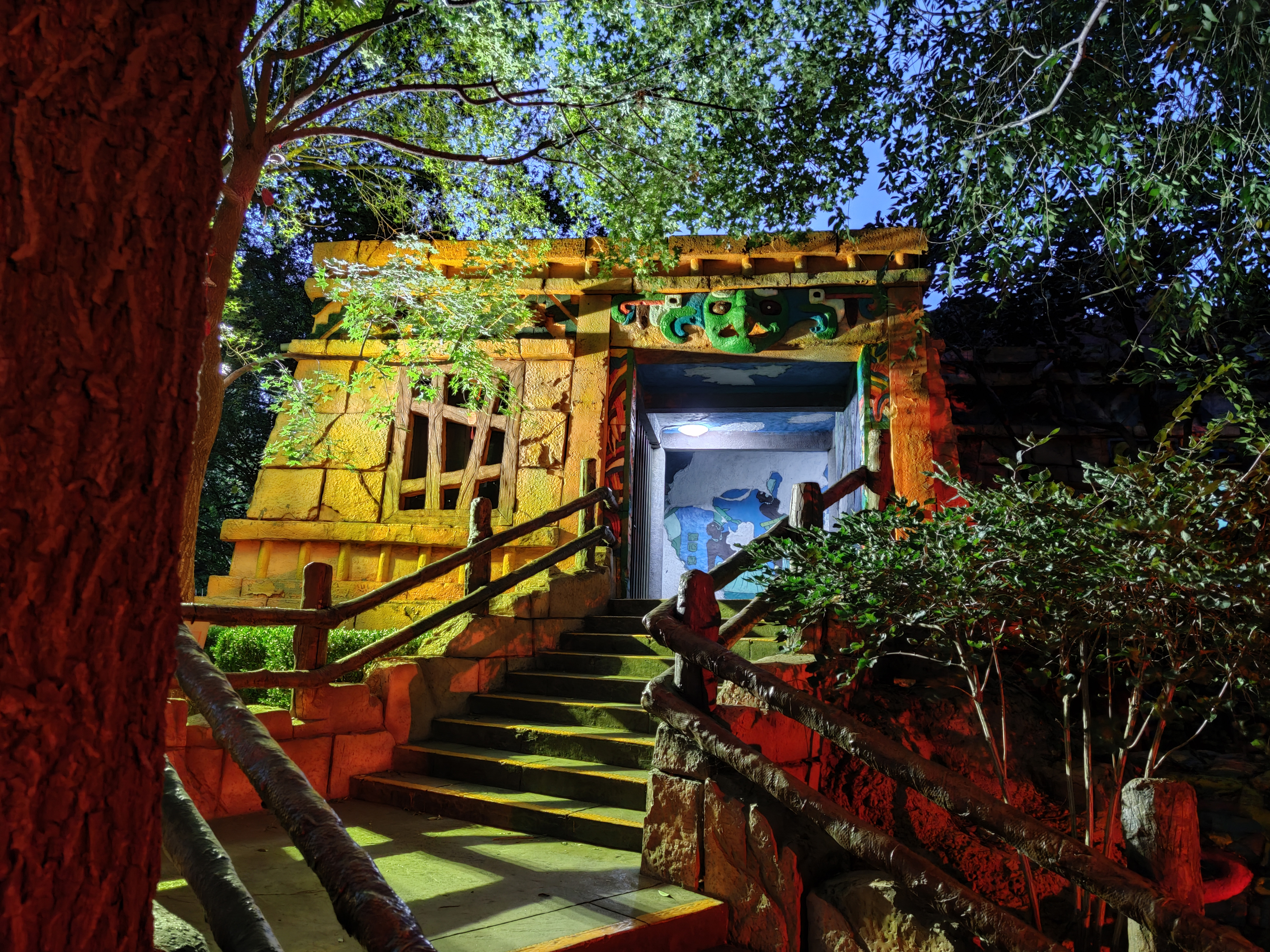 数码相机与手机哪个拍照效果好,什么手机相机拍照最好看最清晰