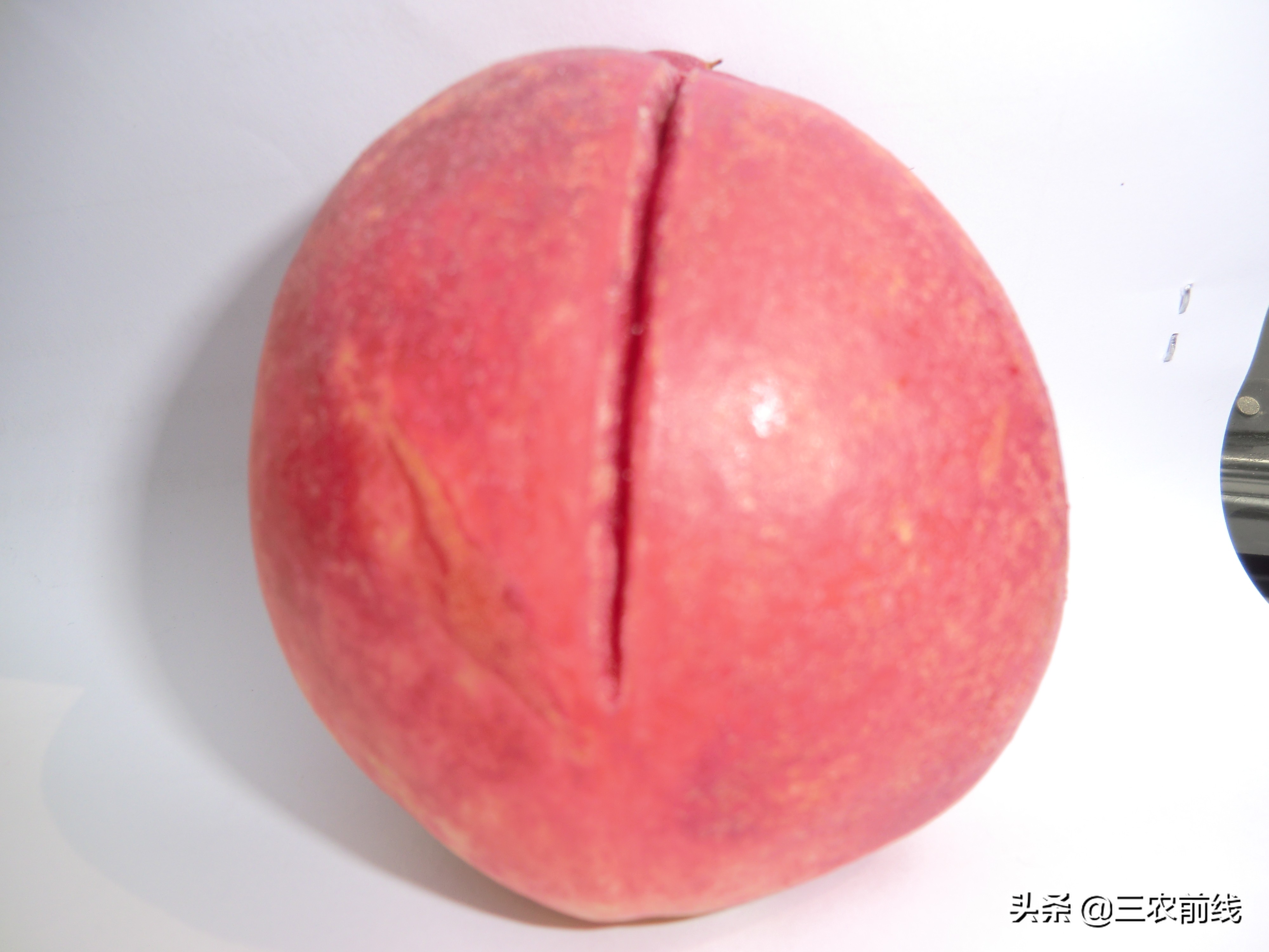 10月套袋桃子出现裂果是什么原因,桃子总是落果怎么回事