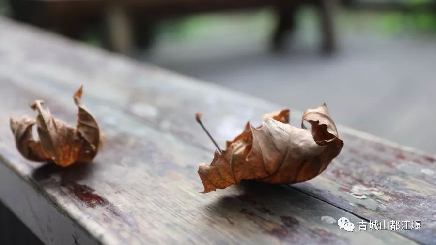在古村落拍照怎么摆姿势好看,在古堰拍照姿势