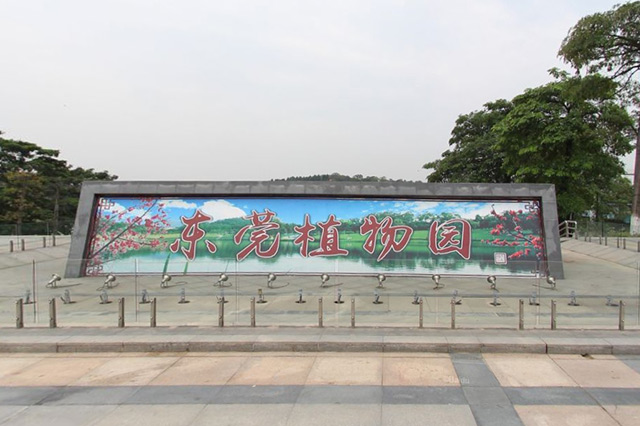 广东多地迎最美赏花季,广东十大热门赏花地