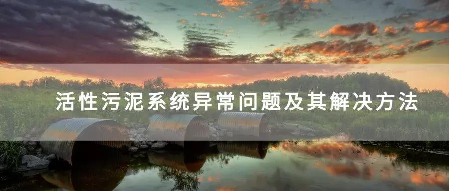 活性污泥问题及解决方案,活性污泥运行异常现象