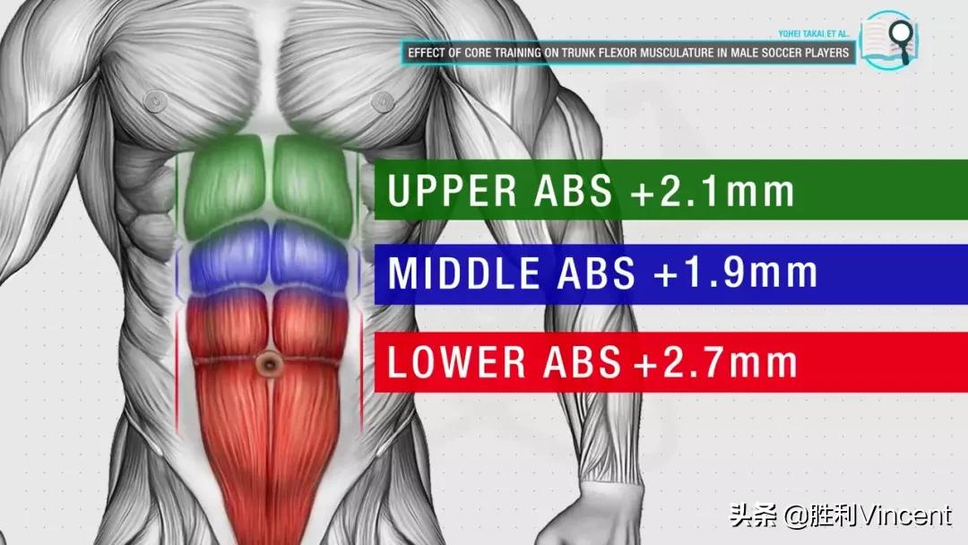 胖子练腹肌可以减肚子上的脂肪吗,最后两块腹肌上面有脂肪该怎么练